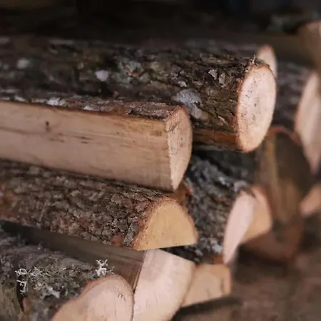 Monat 2* 阿拉恰特